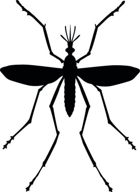 Tıbbi poster, renkli vektör illüstrasyonu