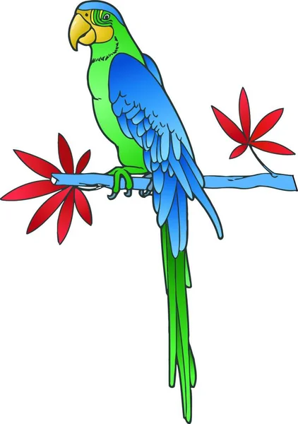 Papagaio Ilustração Vetor Branco —  Vetores de Stock