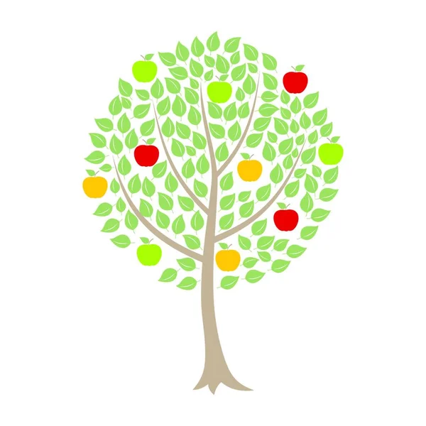 Apple Drzewo Ilustracja Wektorowa — Wektor stockowy