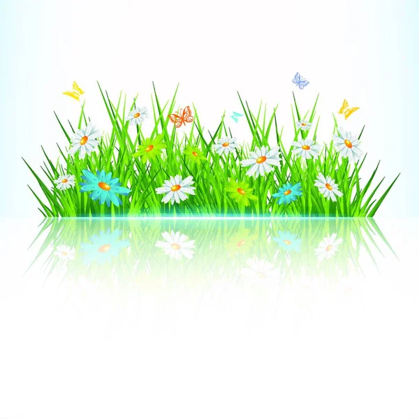 Green Grass Modern Vector Illustration — Stock Vector