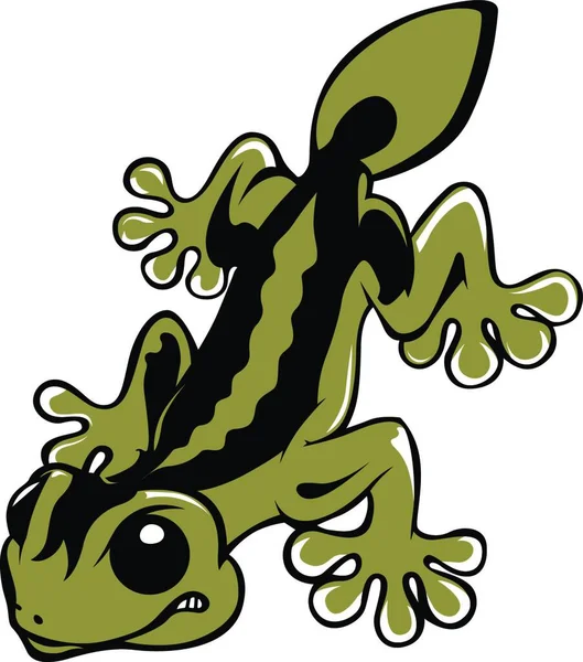 Salamandra Lagarto Vicioso Ilustração Vetorial Colorido — Vetor de Stock