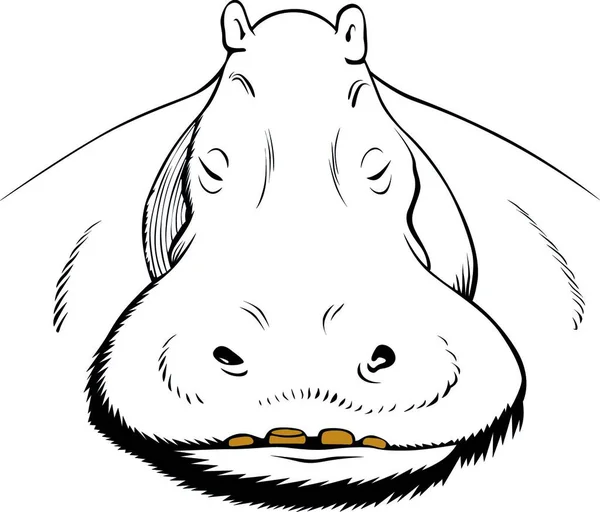 Hipopotama Twarz Współczesny Wektor Ilustracji — Wektor stockowy