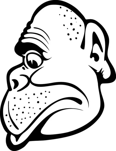 Πορτρέτο Μαϊμού Πολύχρωμο Διανυσματική Απεικόνιση — Διανυσματικό Αρχείο