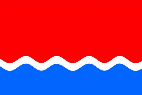Abbildung Der Amur Flagge — Stockvektor