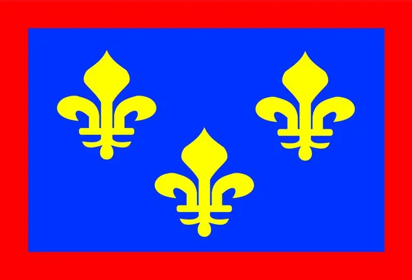 Abbildung Der Anjou Flagge — Stockvektor