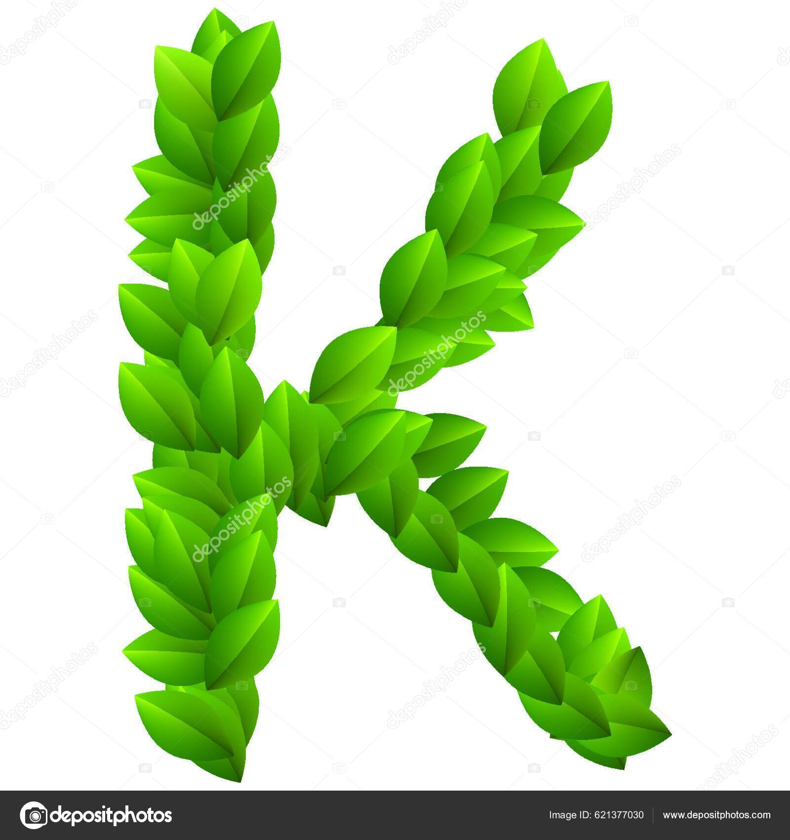 Letter Green Leaves Alphabet Stock Vector by ©YAY_Images 621377030