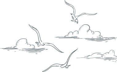 Martılar ve bulutlar, renkli vektör çizimi
