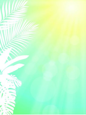 palmiye ağacı çerçeve arka plan