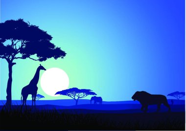 Safari arkaplan modern vektör illüstrasyonu