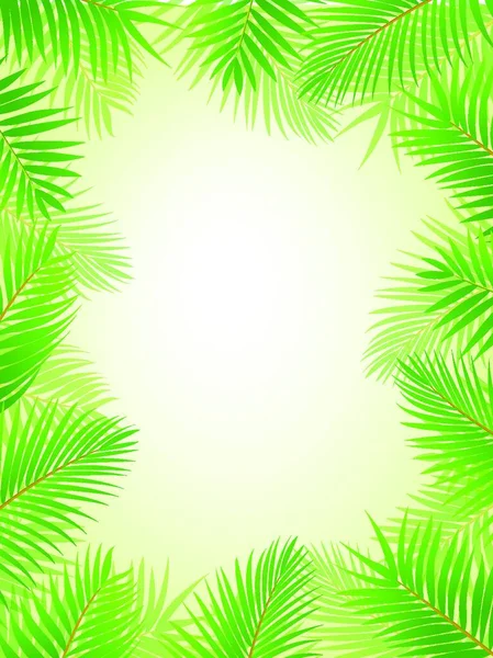 Palm Boom Frame Achtergrond — Stockvector