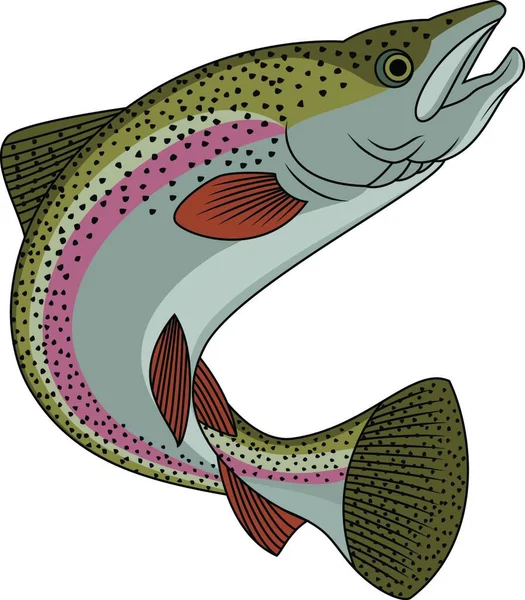 Ilustracja Wektorowa Ryb Pstrąg — Wektor stockowy