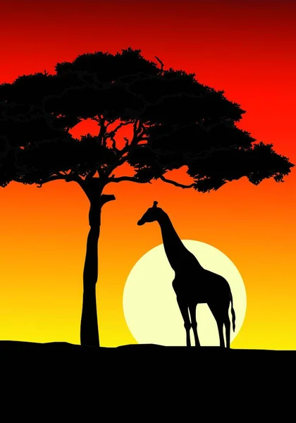Afrikaanse Zonsondergang Achtergrond Met Giraf — Stockvector