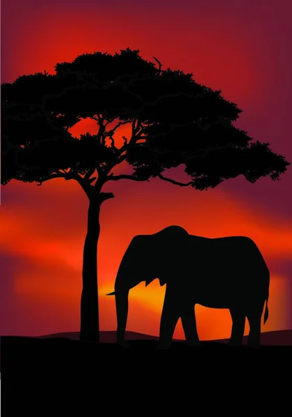 サバンナのアフリカの動物 カラフルなイラスト — ストックベクタ