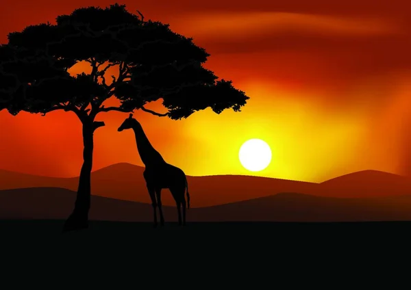 Fond Safari Avec Silhouette Girafe — Image vectorielle
