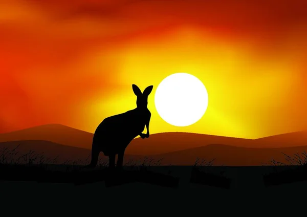 Australië Zonsondergang Met Kangoeroe Silhouet — Stockvector