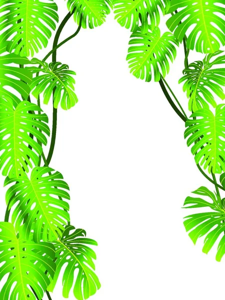 Tropische Bladeren Achtergrond Vectorillustratie — Stockvector