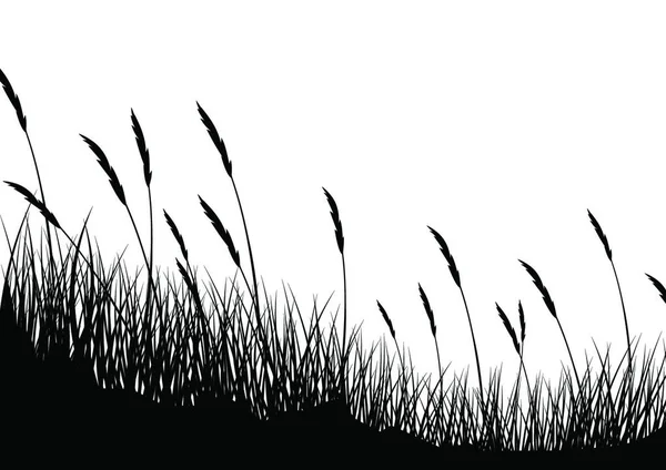 Gras Achtergrond Vector Illustratie — Stockvector
