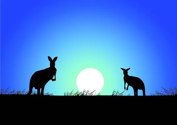 Günbatımı Arka Planında Kanguru Vektör Çizimi — Stok Vektör