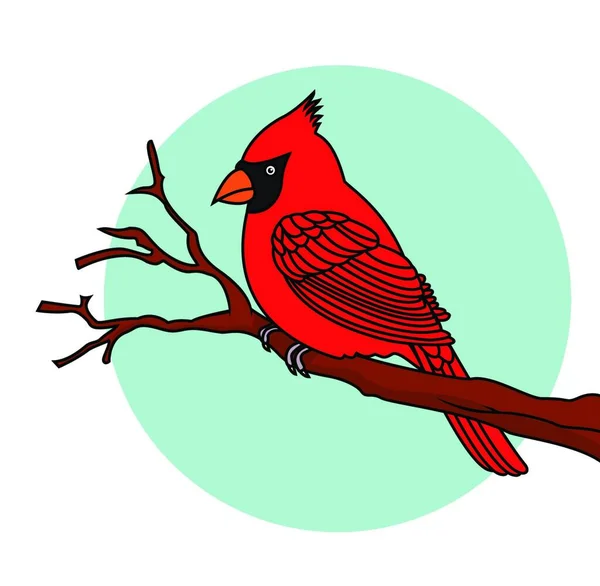 Rode Vogel Kardinalen Vector Illustratie — Stockvector