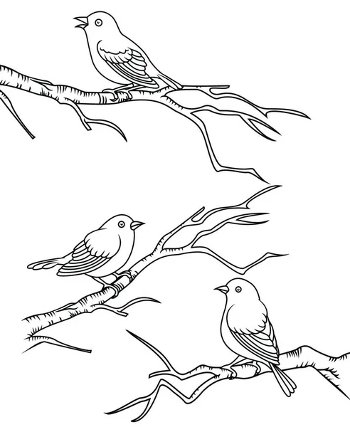 Pájaros Sentados Vector Ramas Ilustración — Archivo Imágenes Vectoriales