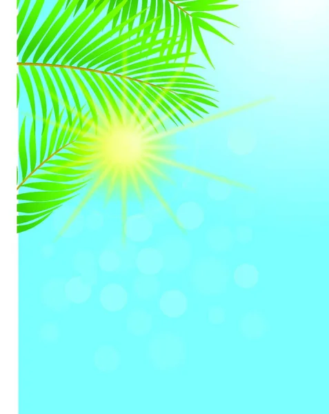 Palm Tree Sun Background — Stock Vector