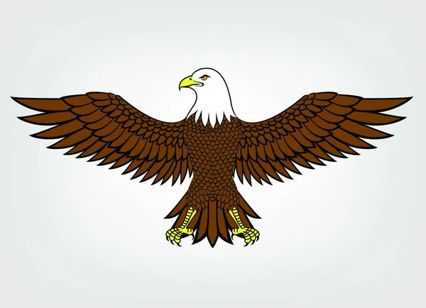 Águila Mascota Vector Ilustración — Archivo Imágenes Vectoriales