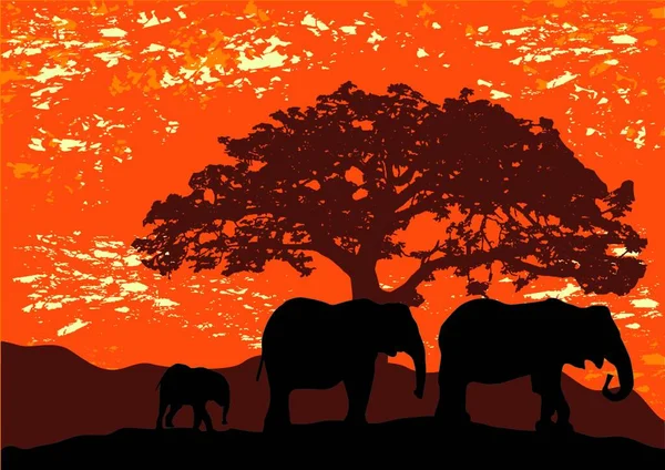Słonie Afryce Nowoczesny Wektor Ilustracji — Wektor stockowy