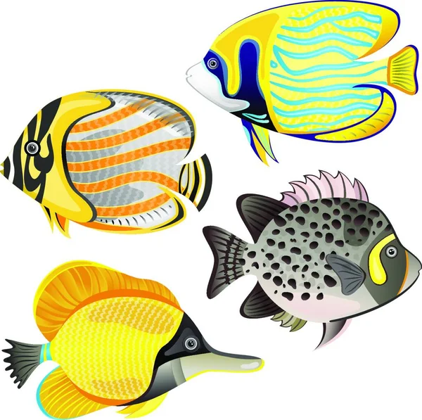 Egzotyczny Zestaw Ryb Kolorowy Wektor Ilustracji — Wektor stockowy
