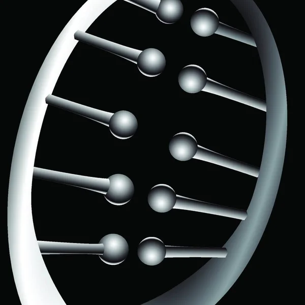 Chromosomale Verbindingen Vector Illustratie — Stockvector