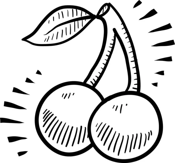 Doce Cherries Ilustração Conceito Comida Verão —  Vetores de Stock