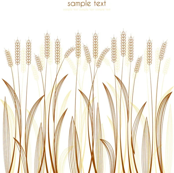 白いベクトル図上の穀物 — ストックベクタ