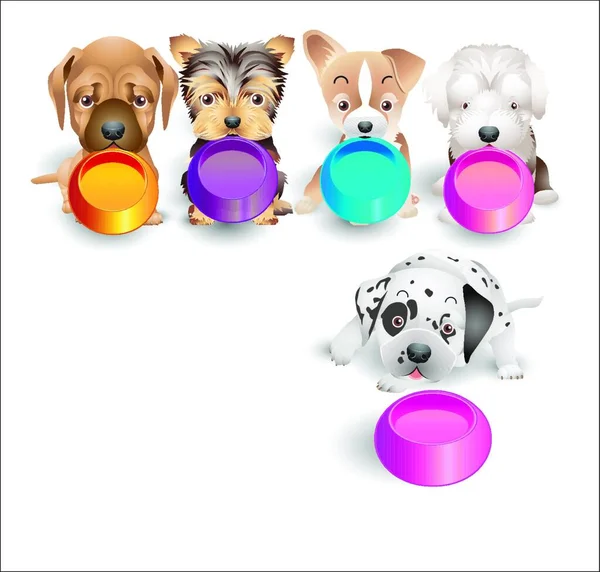 Puppies Food Trays Graphic Vector Illustration — Stock Vector