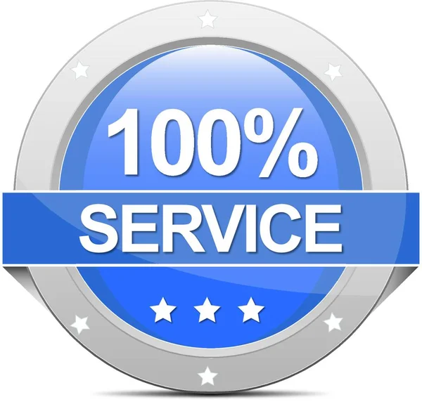 100 Service Banner Vector Illustration — Stock Vector