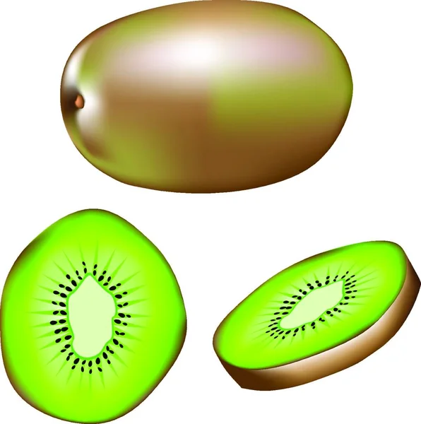 Ilustración Vector Moderno Kiwi — Vector de stock