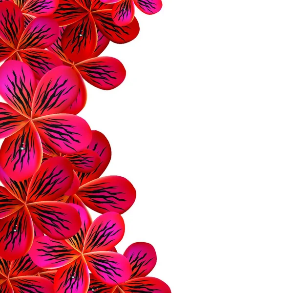 Illustration Vectorielle Cadre Frangipani Rose — Image vectorielle