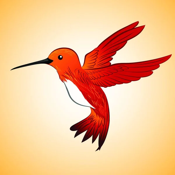 Red Hummingbird Vector Illustration — Stock Vector