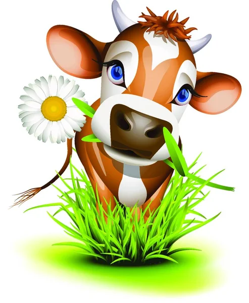 stock vector Jersey cow in grass eating daisy