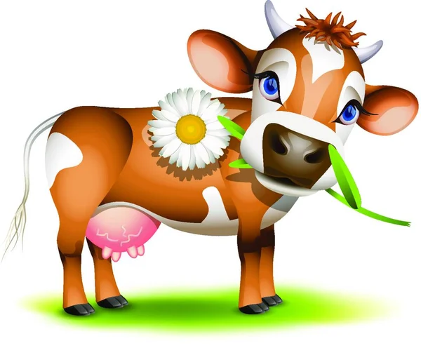 stock vector Little Jersey cow eating daisy
