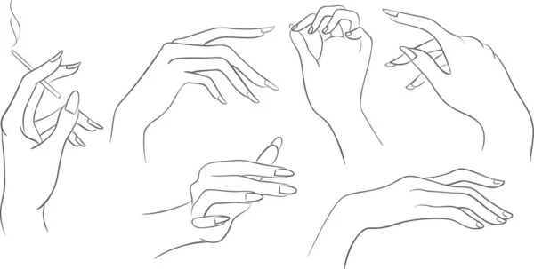 Ілюстрація Жіночих Рук — стоковий вектор
