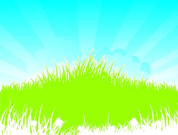 Summer Grass Vector Illustration — Stock Vector