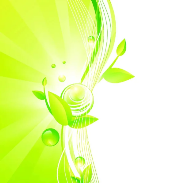 Cadre Vert Avec Illustration Vectorielle Feuilles — Image vectorielle
