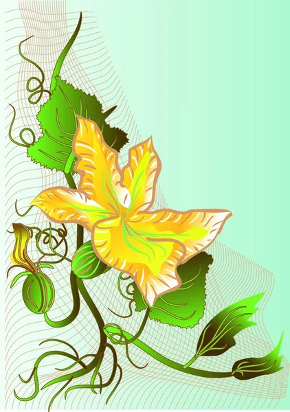 Abstrait Jeune Citrouille Fleur — Image vectorielle