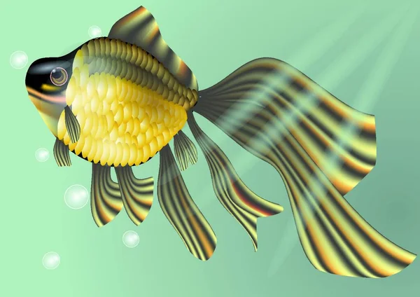 Goldfish Vector Illustration Simple Design — Stock Vector