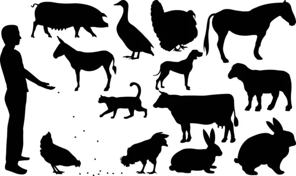Animals Graphic Vector Illustration — Archivo Imágenes Vectoriales