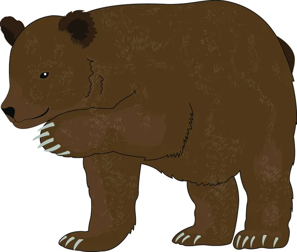 Ведмідь Значок Векторна Ілюстрація — стоковий вектор