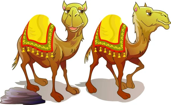Dwa Wielbłądy Ilustracja Wektora — Wektor stockowy