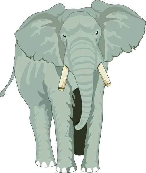 Elefante Icono Vector Ilustración — Vector de stock