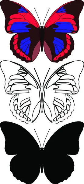 Set Von Schmetterlingen Kreative Kunstillustration — Stockvektor