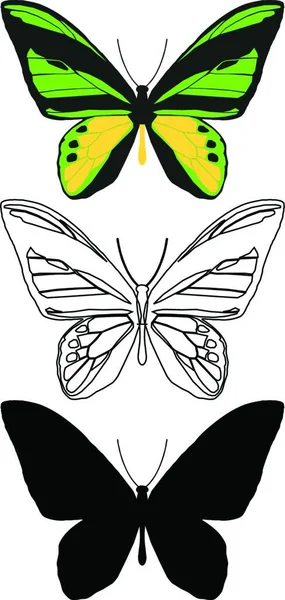 Conjunto Mariposas Ilustración Arte Creativo — Vector de stock