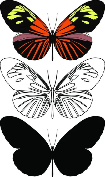 Kelebek Seti Yaratıcı Sanat Çizimleri — Stok Vektör